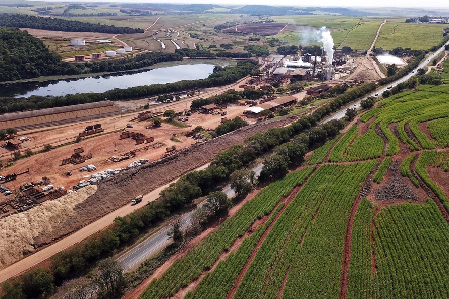 Cana-de-açúcar volta a brilhar no Norte Pioneiro e produção em Jacarezinho é destaque