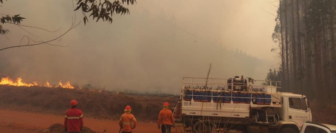 Fogo em Curiúva e Siqueira Campos; cachorra e filhotinhos morrem carbonizados
