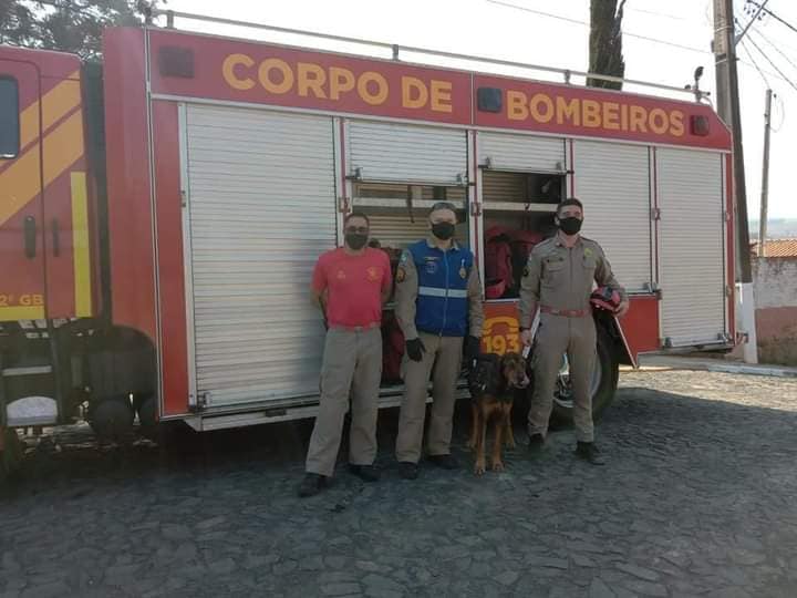 Corpo de Bombeiros resgata cachorro que estava preso em barroca em Jaguariaíva