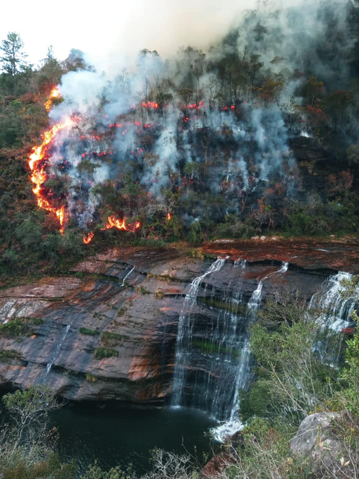 Incêndio consome mais da metade da vegetação do Parque do Lago Azul em Jaguariaíva