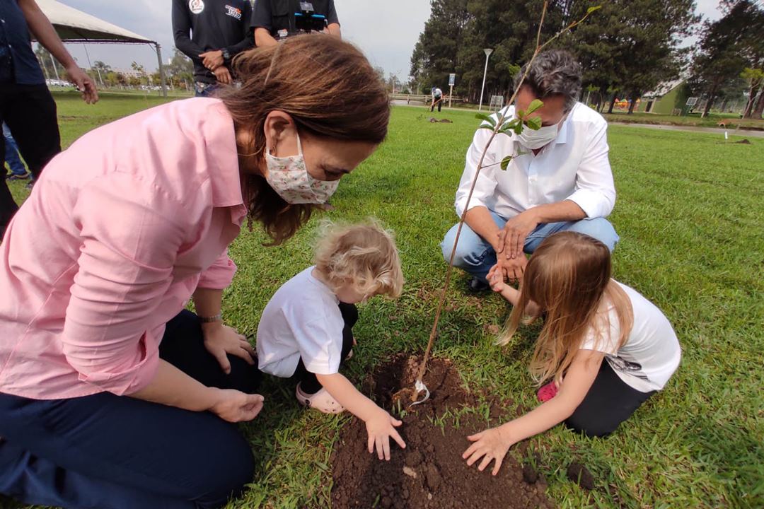 Governo do Paraná mobiliza população para o plantio de 400 mil mudas de árvores nativas