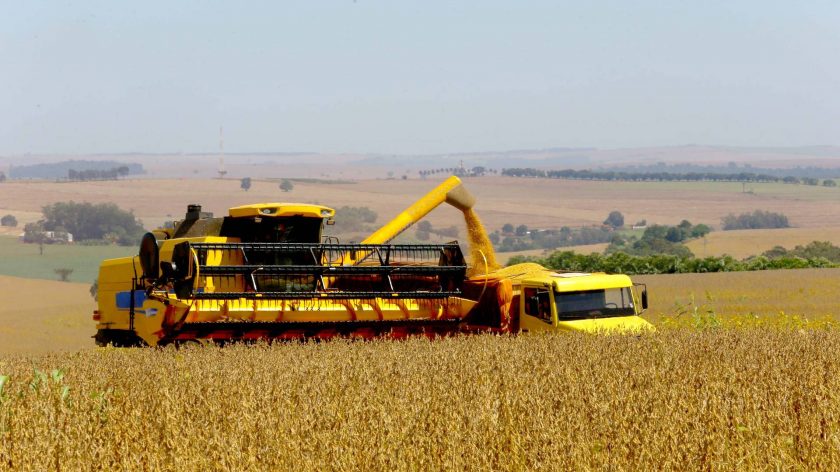 Paraná deve produzir 25,5 milhões de toneladas de grãos na safra de verão