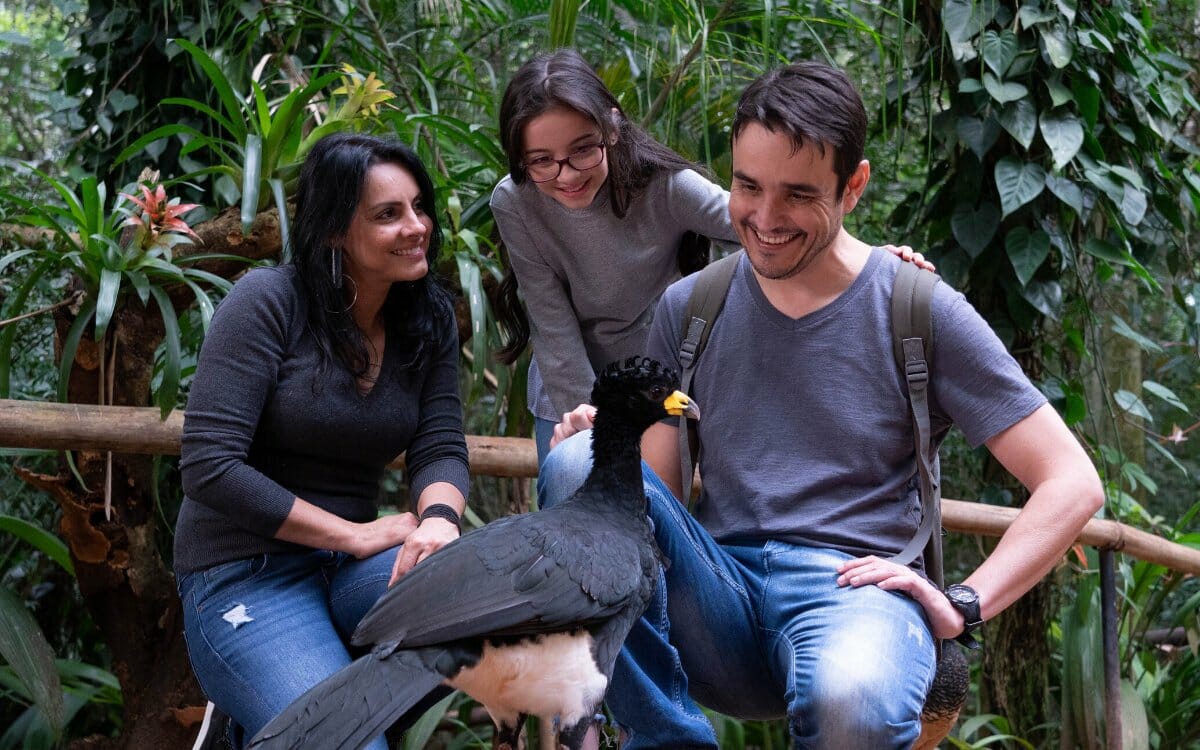 Turismo de natureza tem forte tendência no Brasil e Foz do Iguaçu é referência