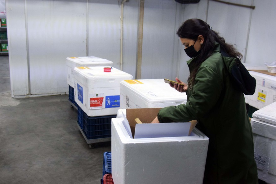 Saúde distribui vacinas para reforço de idosos e trabalhadores da Saúde; 15 mil são destinadas ao Norte Pioneiro