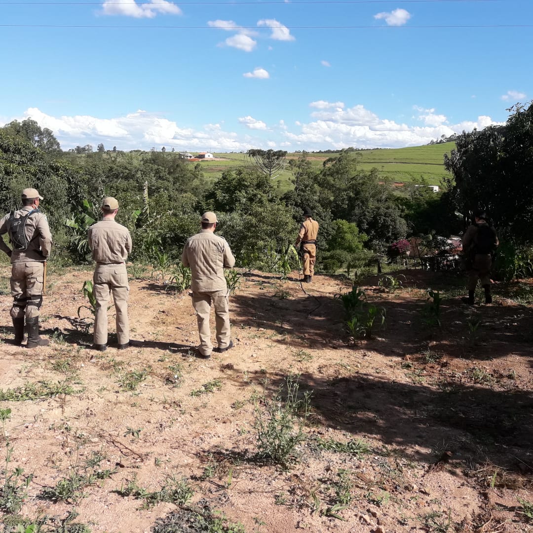 Cães e bombeiros procuram jovem que desapareceu no Parque Mina Velha em Ibaiti