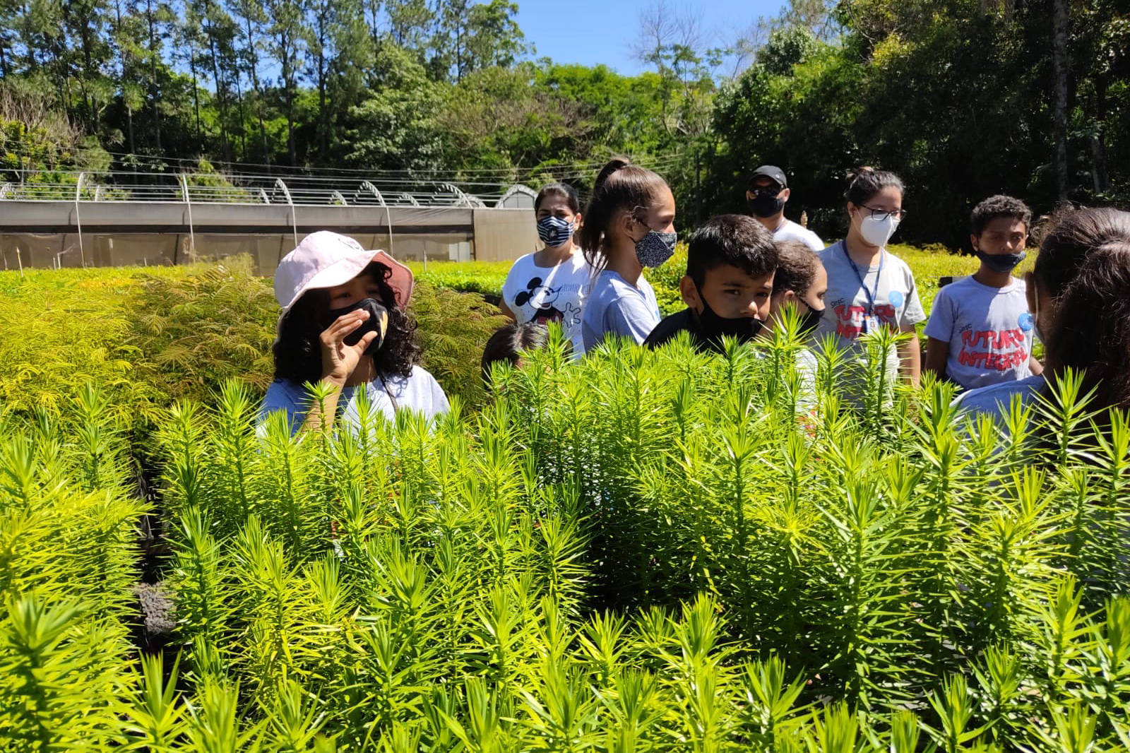 Viveiro florestal do IAT no Norte Pioneiro retoma visitas agendadas