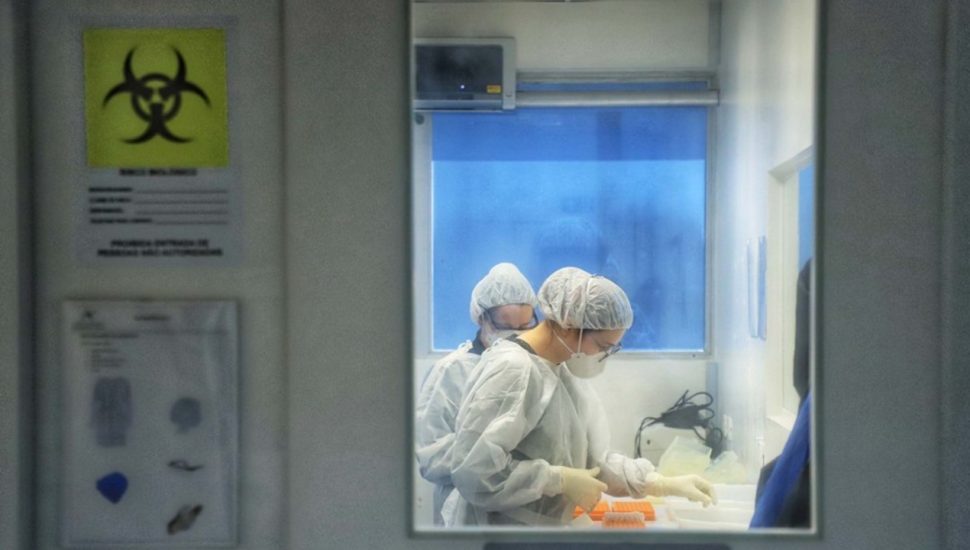 Ômicron: Paraná monitora seis passageiros que estavam em voo com homem que veio da África