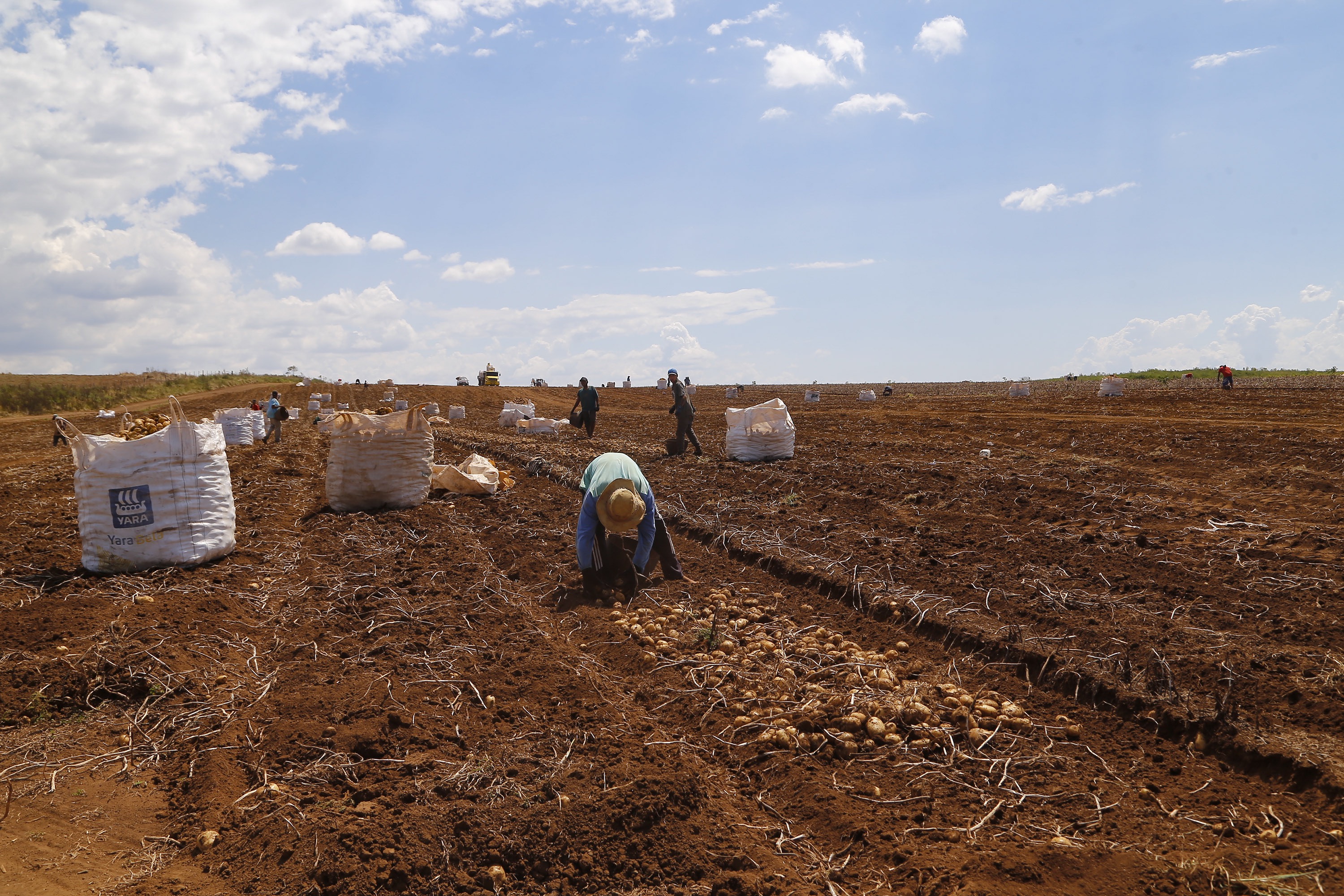 Com reajuste, Paraná mantém o maior salário mínimo do país