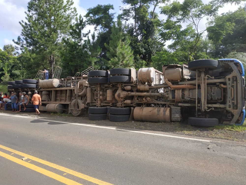 Carreta tomba, motorista fica ferido e porcos morrem em Curiúva