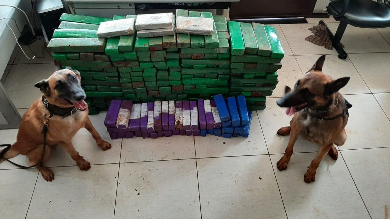 Polícia Militar apreende mais 200 quilos de maconha e outras drogas em Cambará