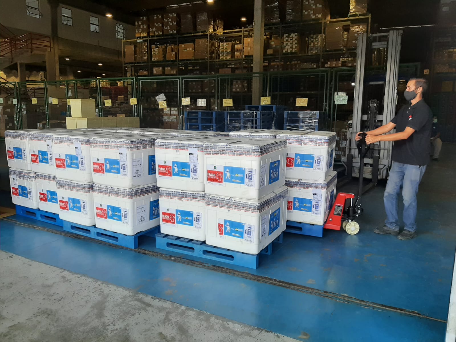 Regionais de Saúde do Norte Pioneiro recebem mais de 5 mil vacinas pediátricas contra Covid