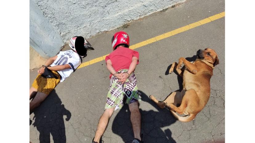 PM prende dois caras em uma moto e cãozinho caramelo também se “entrega” a polícia
