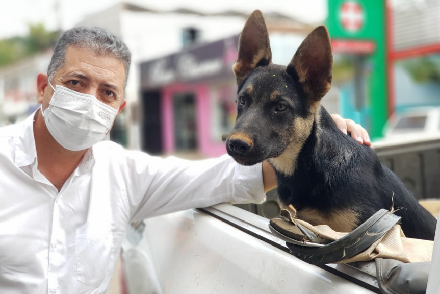 Deputado Cobra Repórter quer auxílio para instituições e famílias que cuidam de animais