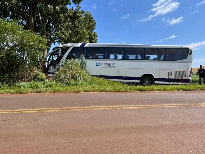 Ônibus da Princesa sai da pista, atinge árvore e motorista fica preso as ferragens