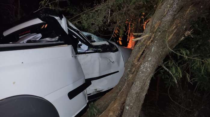 Motorista morre após bater caminhonete em árvore