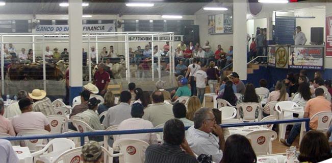 Bandidos assaltam recinto de leilão do Norte Pioneiro