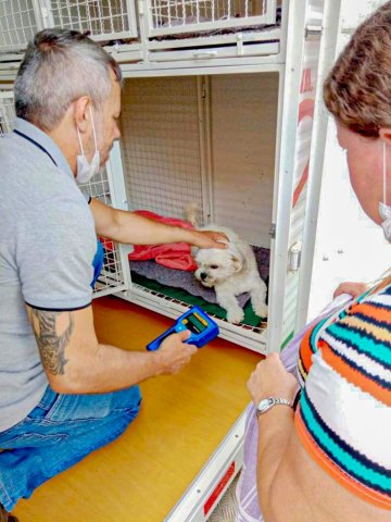 Prefeitura de Jaguariaíva reativa o programa “CastraPet”