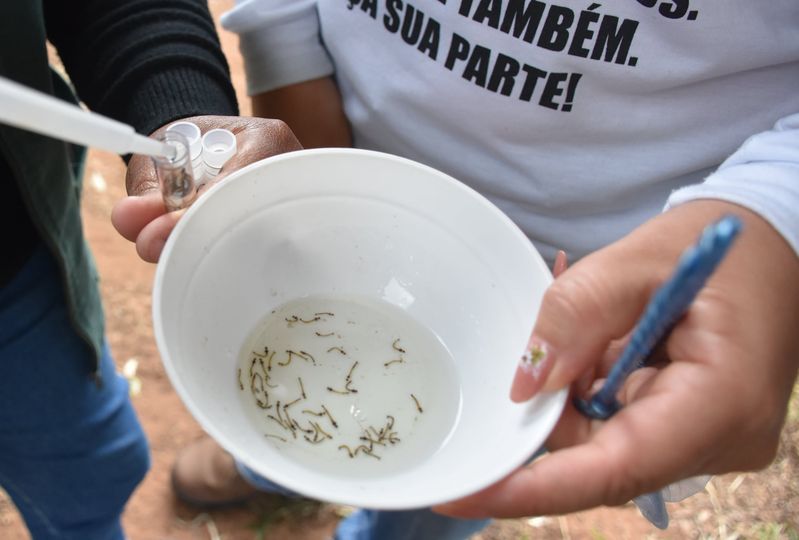 Prefeitura alerta para alto risco de Dengue em Jaguariaíva