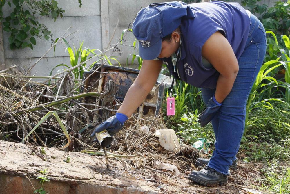 Paraná passa dos 90 mil casos notificados de dengue, aponta boletim