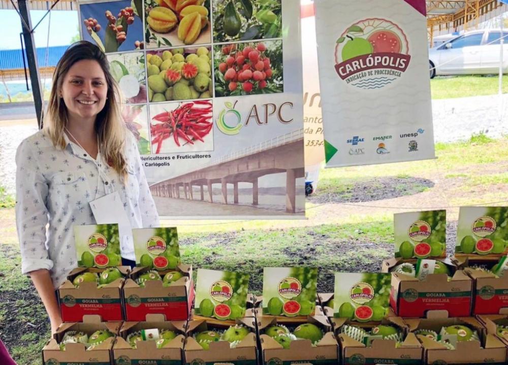 Turismo e fruticultura destacam o Norte Pioneiro no cenário nacional
