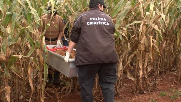 Homem é encontrado morto só de cueca em meio a plantação de milho