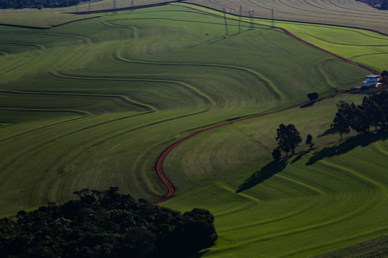 Estado e Faep divulgam cartilha para ajudar produtores rurais com questões ambientais