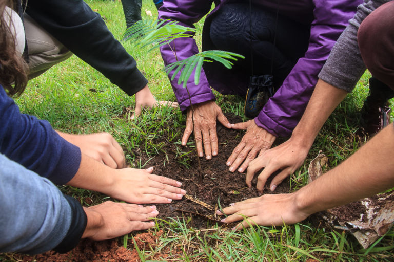 Atividades de conscientização e novo programa de reciclagem marcam Semana do Meio Ambiente em Jaguariaíva