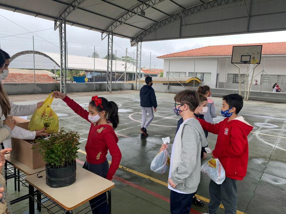 Jacarezinho realiza projeto que distribui mudas de árvores em troca de agasalhos 