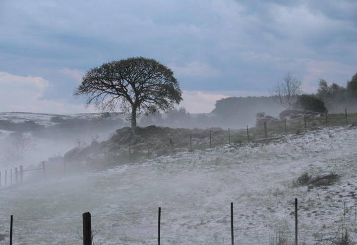 Semana tem previsão de baixas temperaturas e possibilidade de geadas em cidades do Paraná