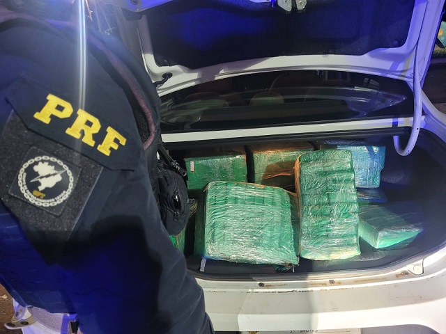 Polícia apreende mais de 200 kg de maconha na BR-369
