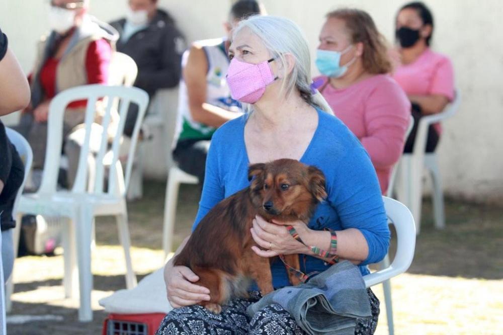 Programa CastraPet inicia atividades em Tomazina 