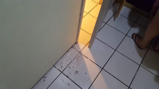 Vítima tem casa invadida e criminosos levam alimentos, roupas e botijão de gás