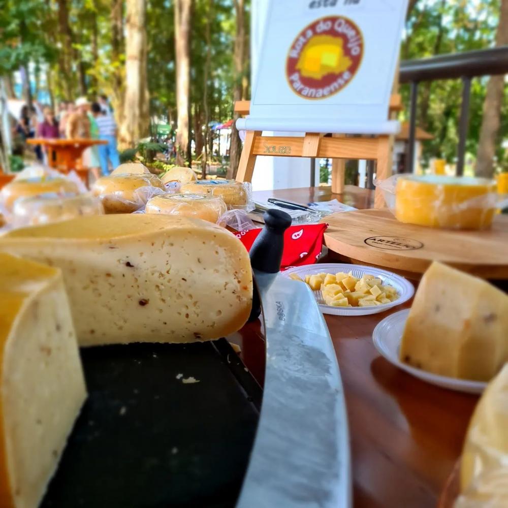 Queijo de Arapoti vence mineiros e conquista dois ouros em concurso nacional