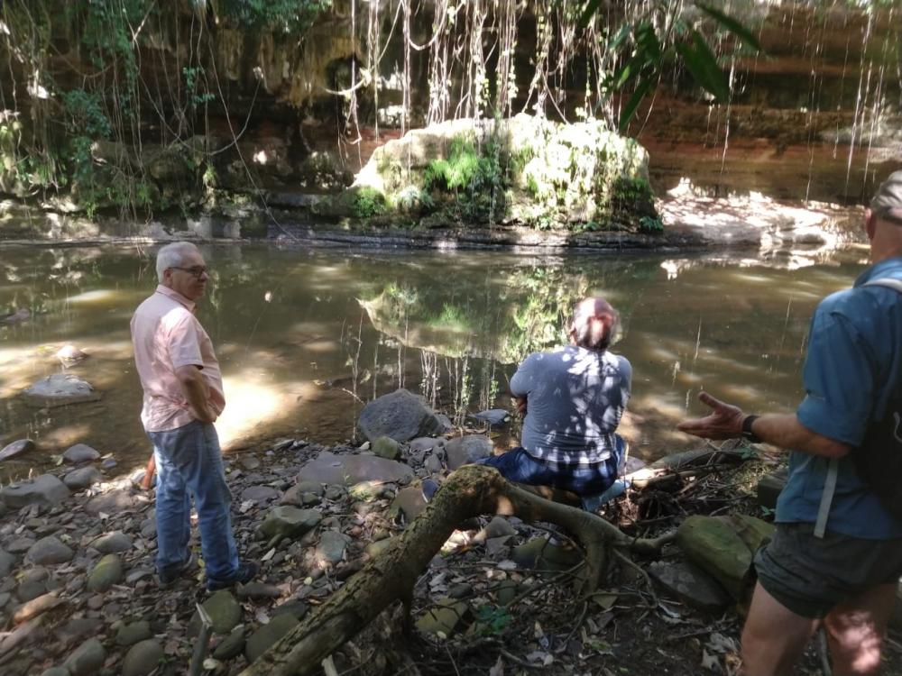 Calcificação inédita na geologia é encontrada no Norte Pioneiro