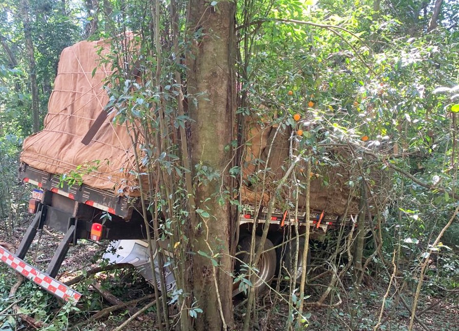 Motorista tenta fugir de abordagem policial e vai parar no meio do mato
