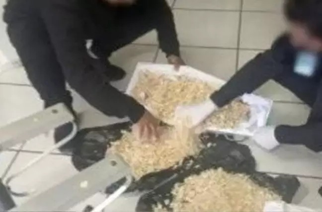 Família abre caixão de bebê e ao invés do corpo encontra serragem