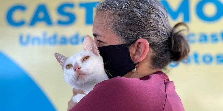 CastraPet chega ao município de Jundiaí do Sul