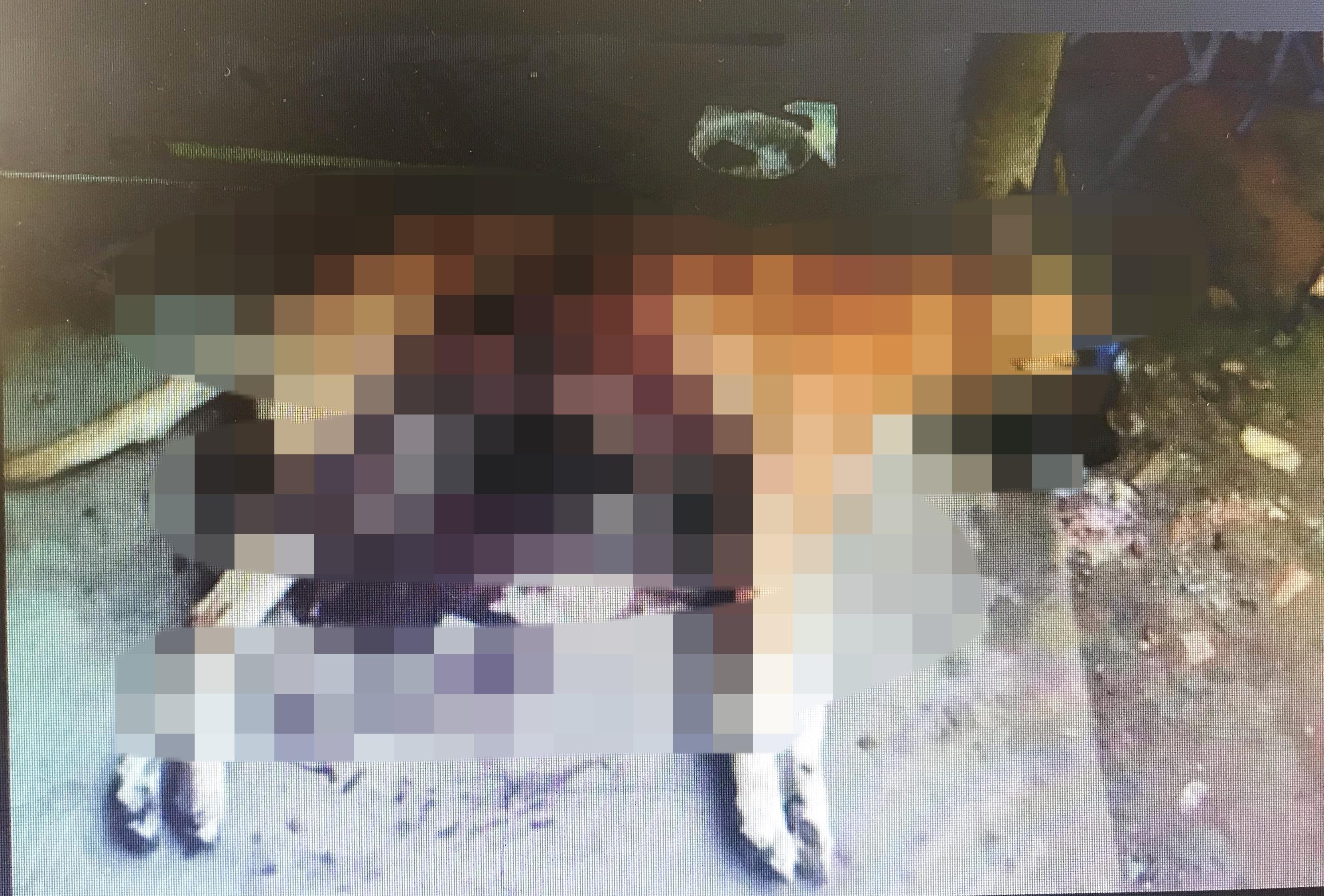 Mulher chama polícia após ter animais de estimação mortos de forma cruel