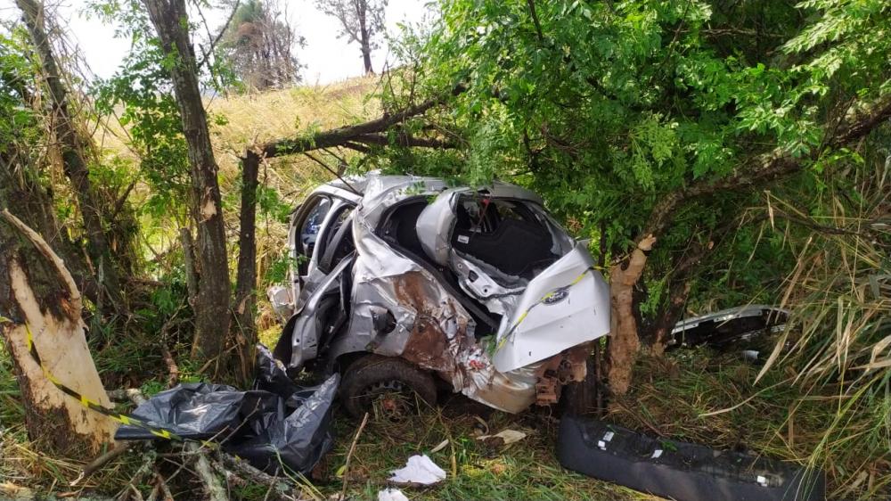 Jovem morre na hora após carro atingir árvore e ficar destruído