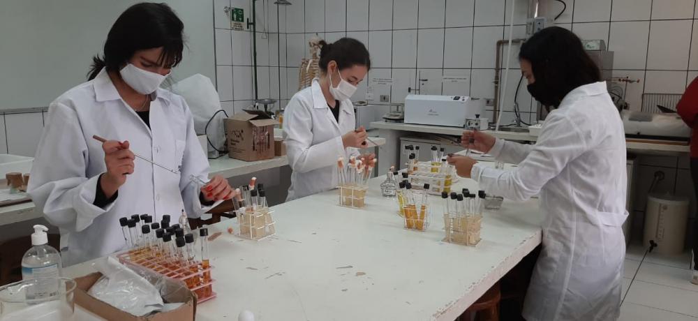 Alunas do Norte Pioneiro são finalistas em duas feiras nacionais de ciências