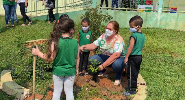Jaguariaíva promove programação para o Dia da Árvore