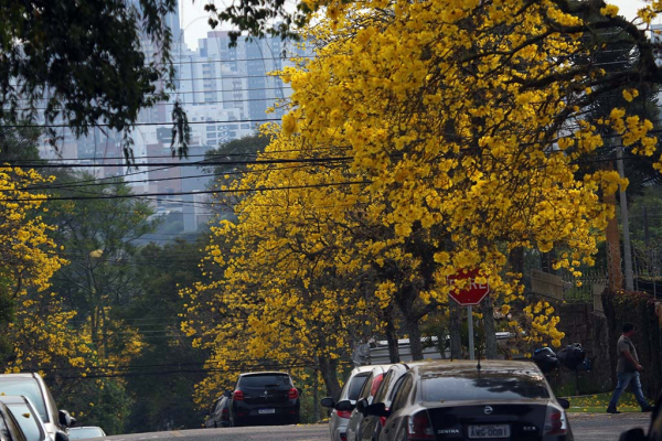 Entenda o porquê das temperaturas incomuns neste início de Primavera