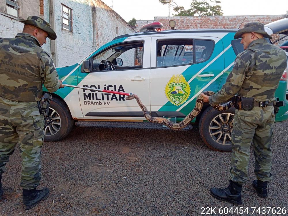 Homem é preso por comércio de animais silvestre no Norte Pioneiro 