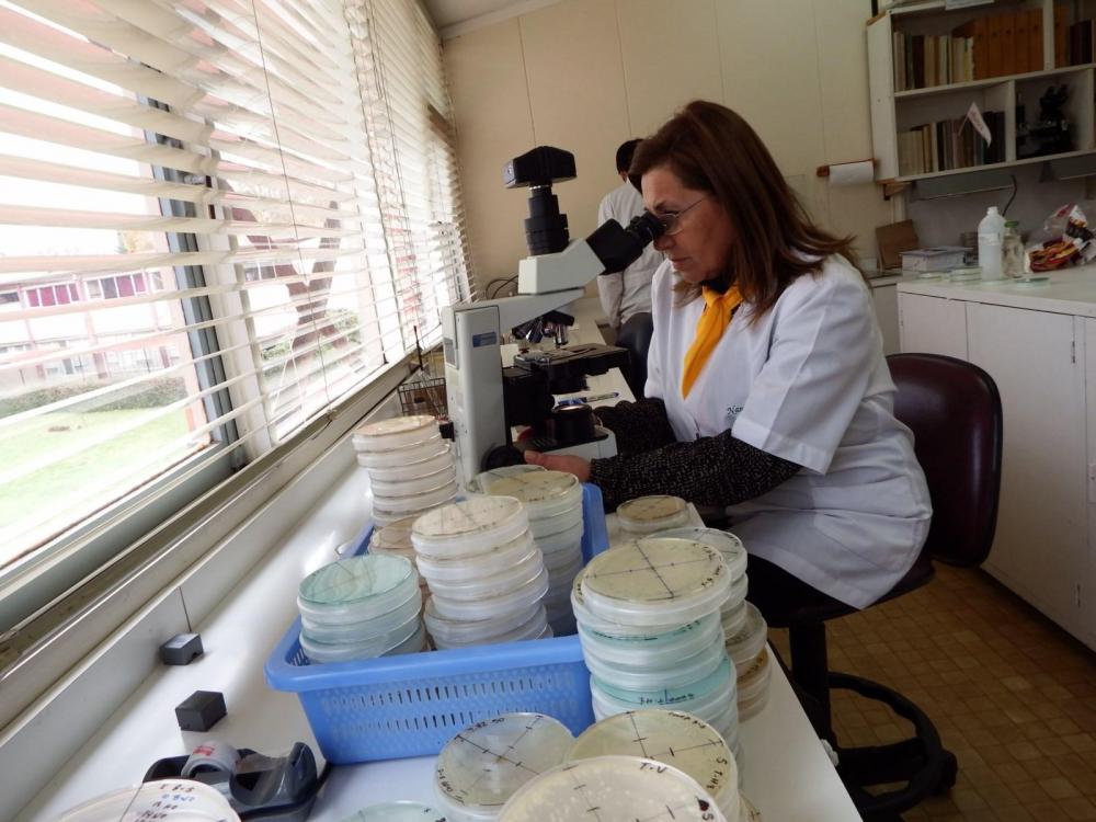 Municípios da região se mobilizam para criar rotas estratégicas de ciência, tecnologia e inovação