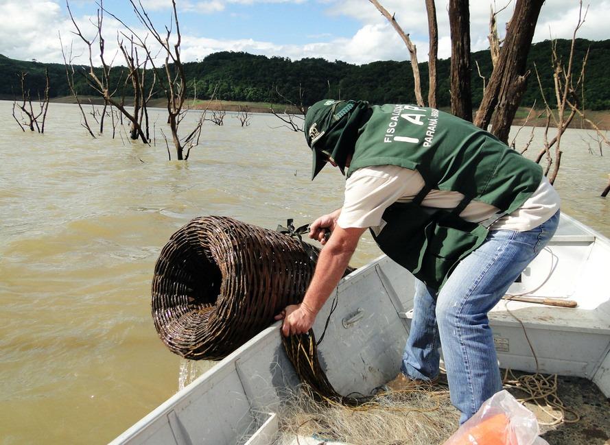 Proibição à pesca de espécies nativas inicia nesta quinta-feira