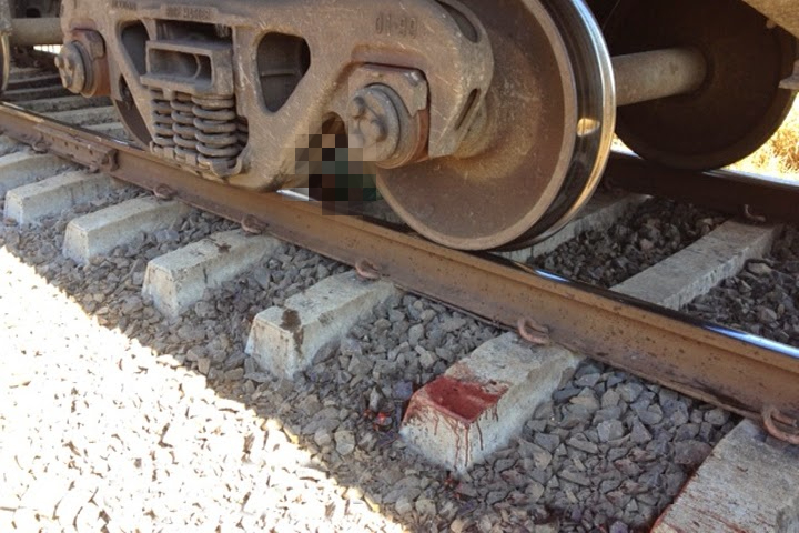 Homem se joga contra trem em alta velocidade no Norte Pioneiro 