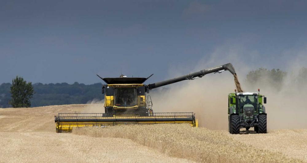 Chuvas acima da média prejudicam a colheita e plantio da safra no Norte Pioneiro