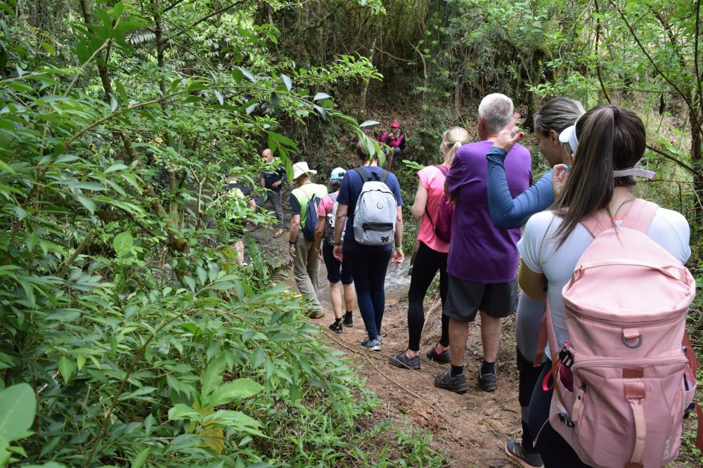 Caminhada Ecológica reúne dezenas de pessoas em Arapoti