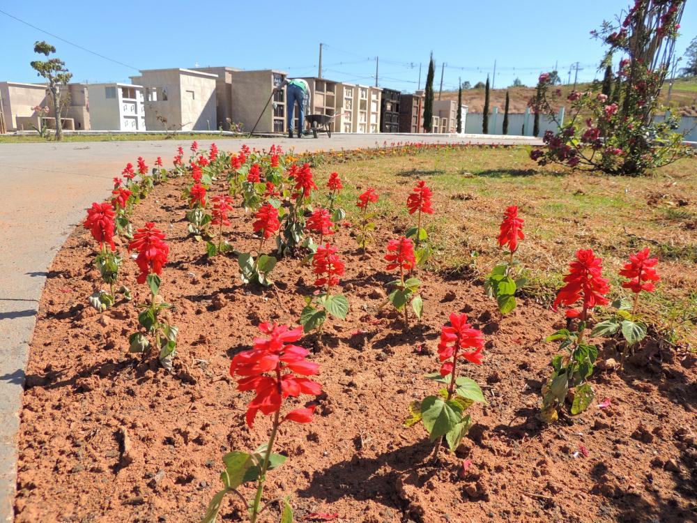 Prefeitura de Jaguariaíva realiza limpeza nos cemitérios municipais 