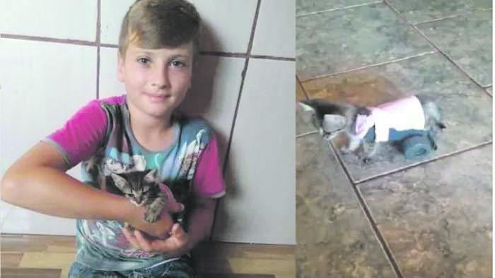Menino de 10 anos projeta “cadeira de rodas” para gatinha e viraliza na internet